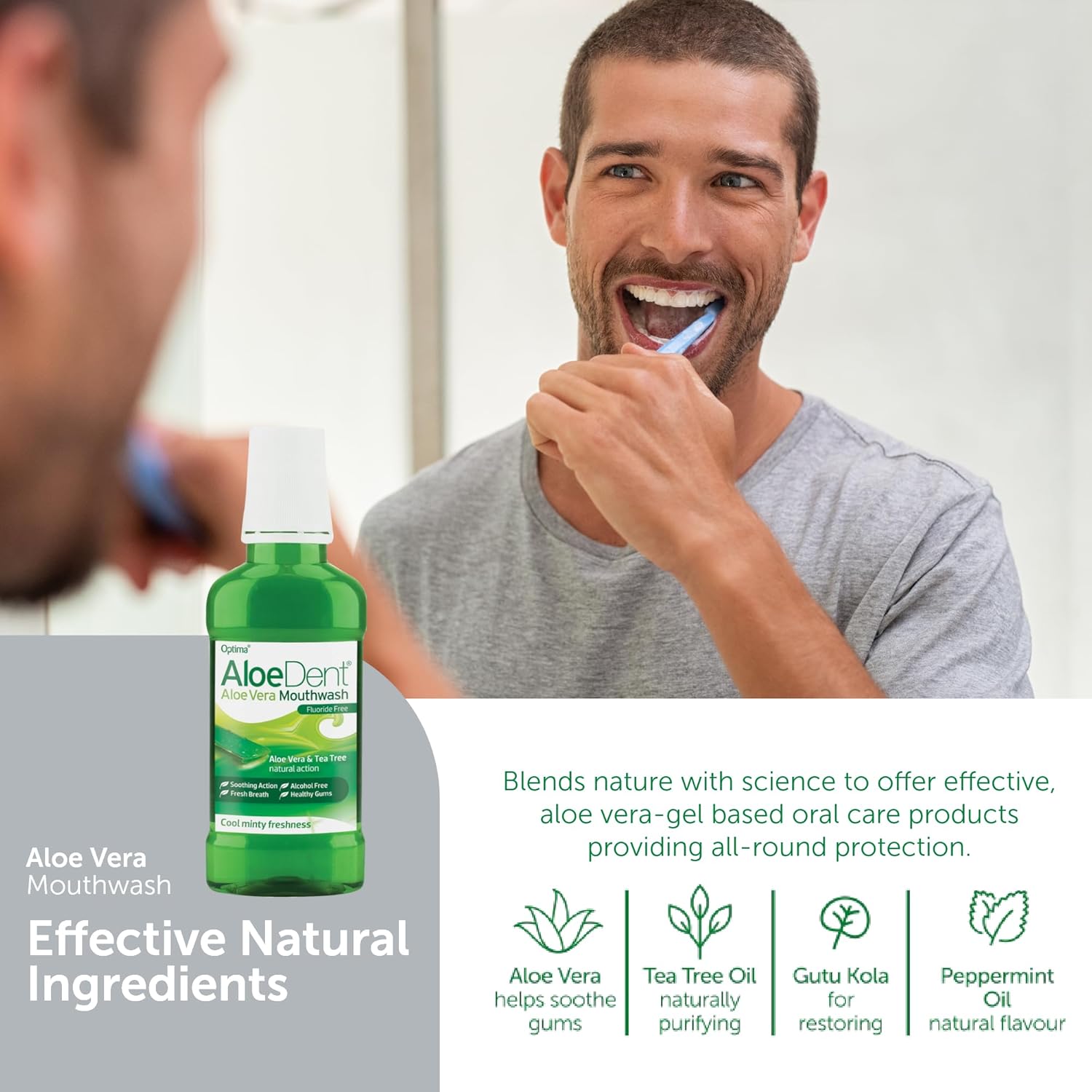 How to Use Image: Aloe Dent mouthwash rinse daily use aloe vera 250ml