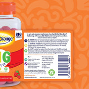 Barcode Image: Haliborange Big Multi strawberry softies 90 gummies barcode packaging