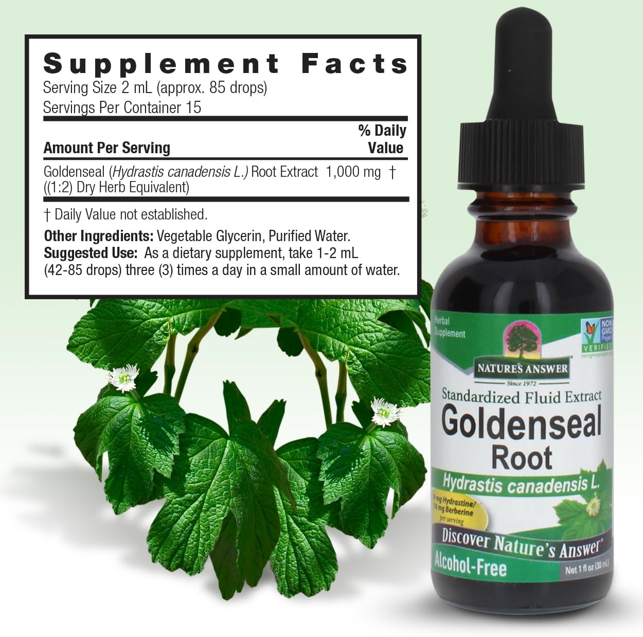 Nature’s Answer Goldenseal Root Extract – 4 mg Hydrastine, 10 mg Berberine, Alcohol-Free, 30 mL