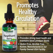 Bottle of Nature's Answer Hawthorn Berry extract with text about promoting healthy circulation and heart health.