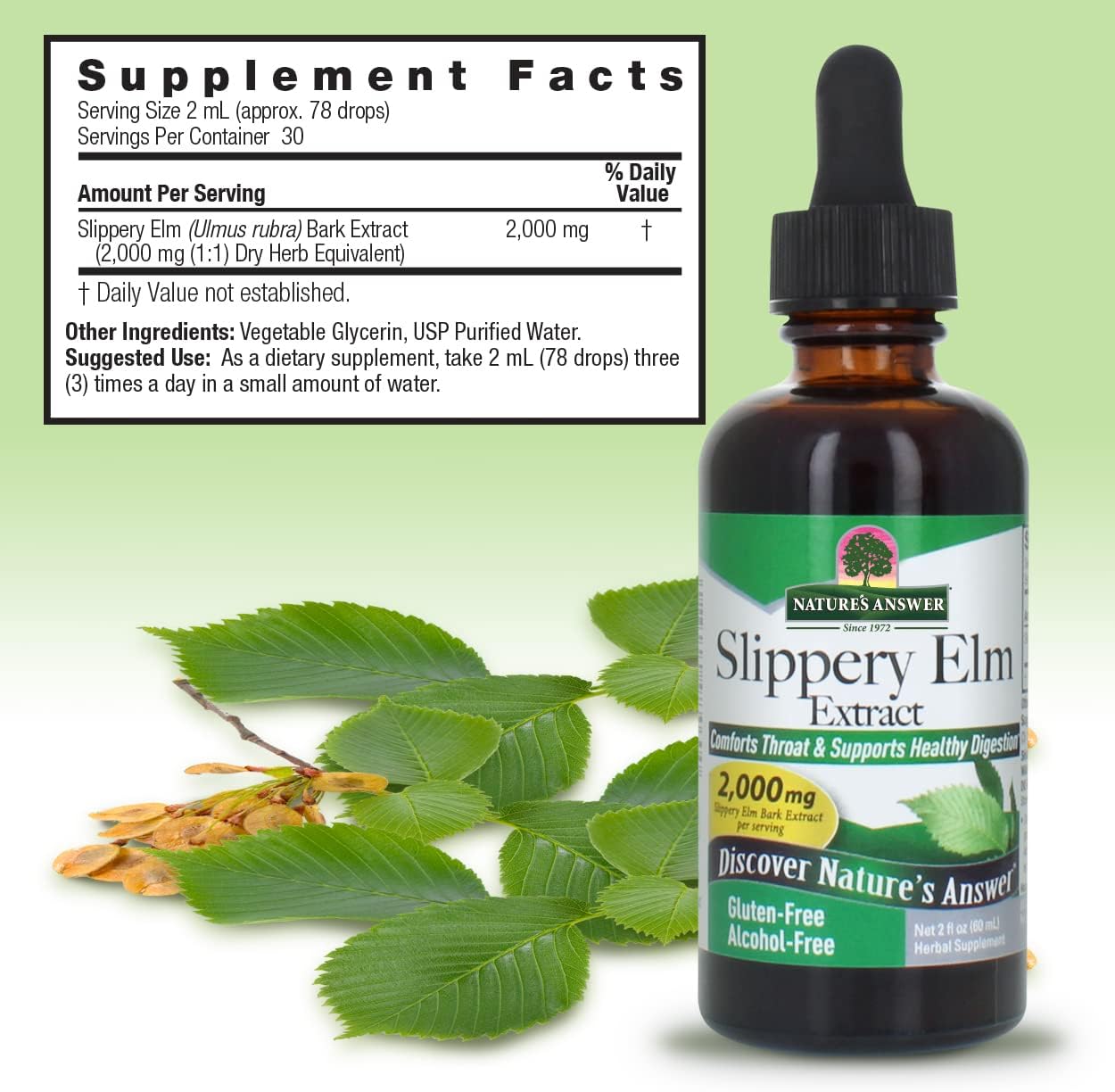 Bottle of Slippery Elm Extract with supplement facts label and green leaves on a light green background