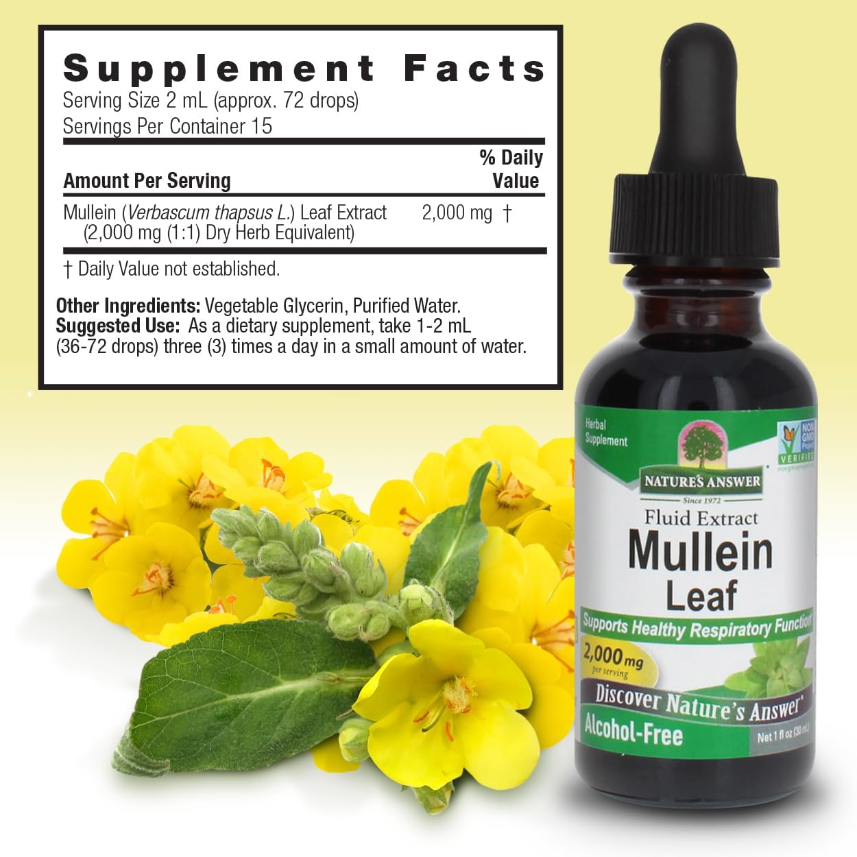 Mullein leaf extract bottle with flowers and supplement facts label on a light yellow background