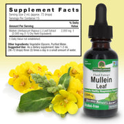 Mullein leaf extract bottle with flowers and supplement facts label on a light yellow background