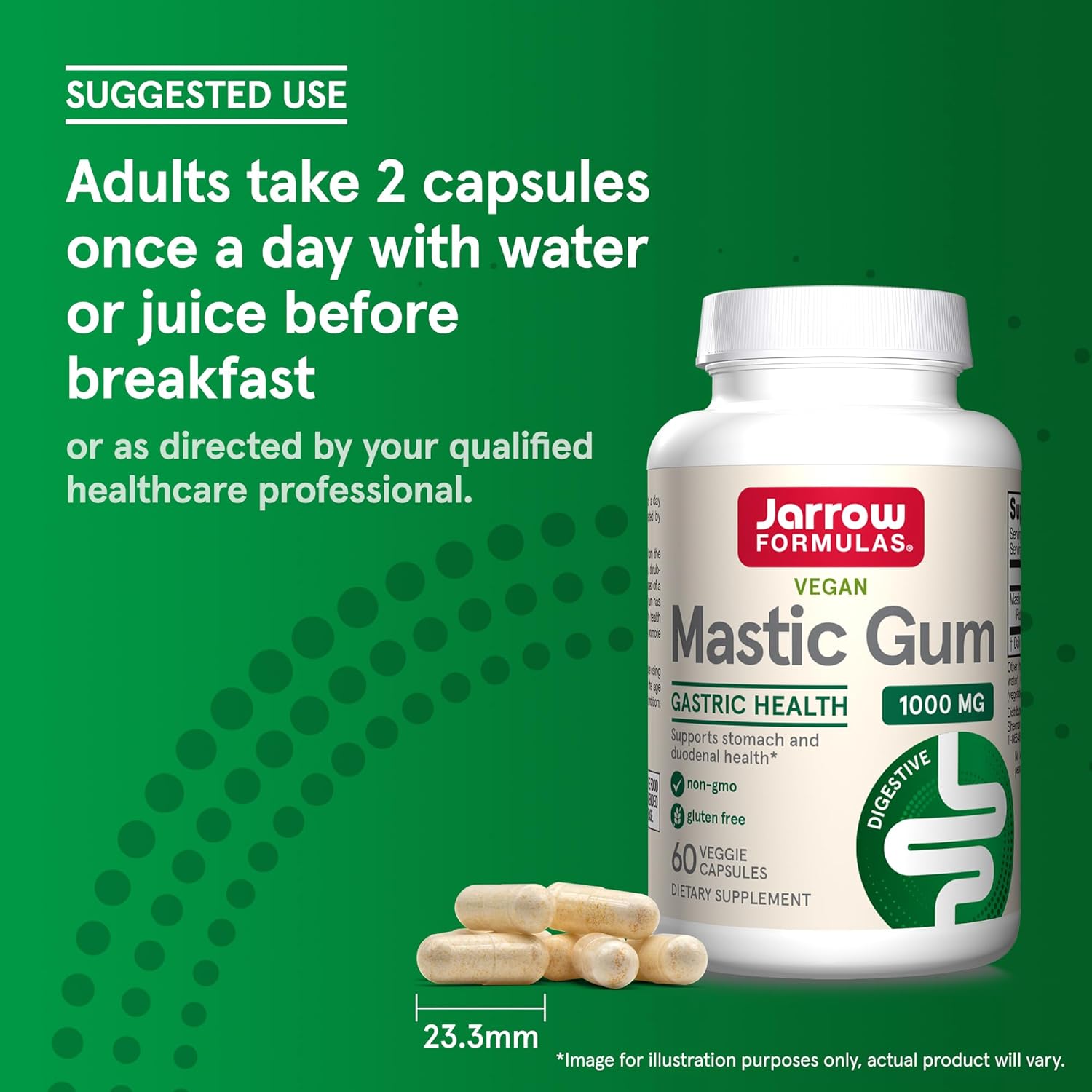 Jarrow Formulas Mastic Gum 1000 mg  60-120 Veggie Capsules