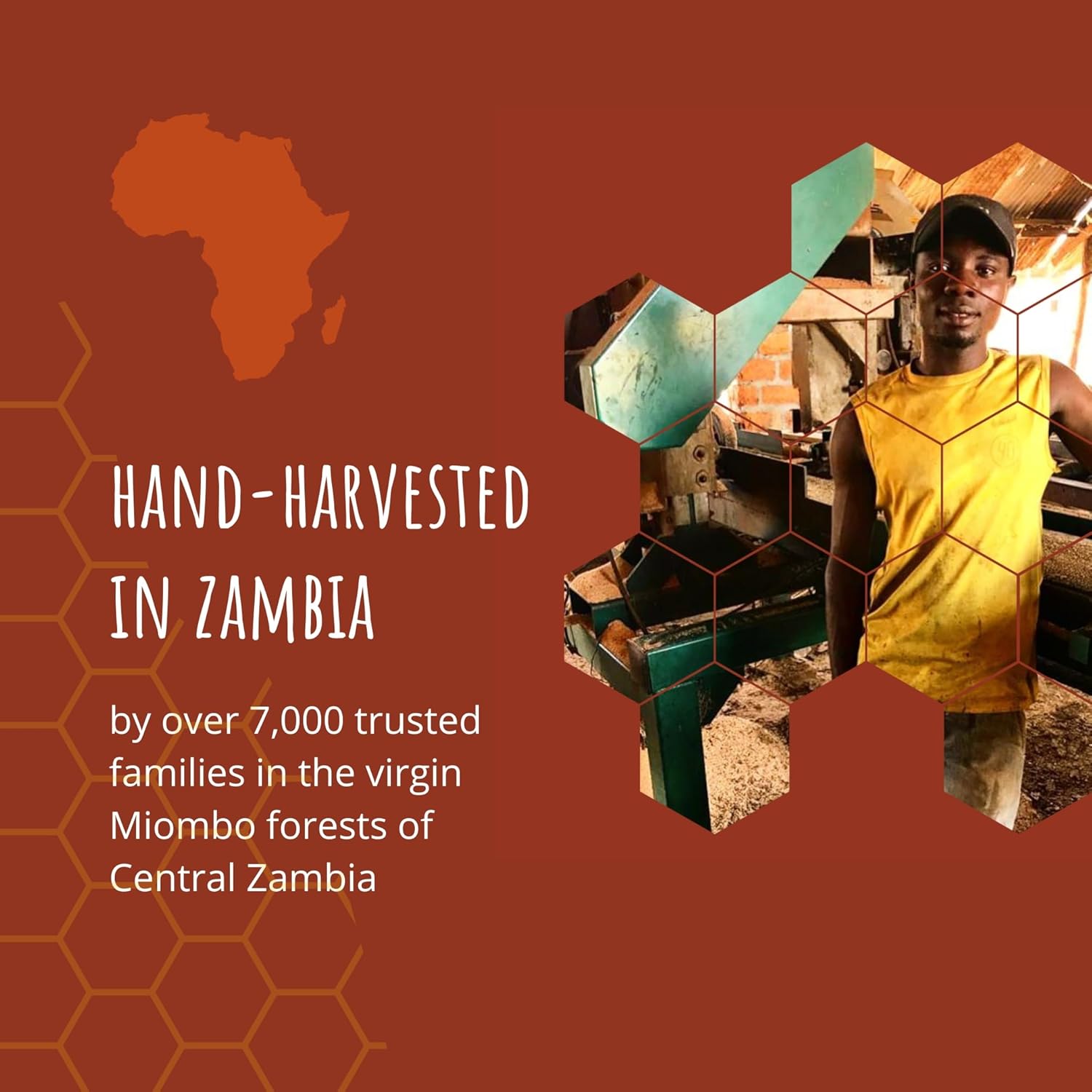 Mama Buci Winter Harvest Zambian Honey, Unpasteurised - 340g