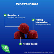 Natrol Magnesium Citrate raspberry gummies supplement 60 gummies