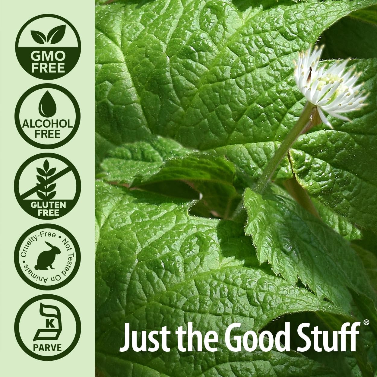 Close-up of green leaves with a flower, featuring certification logos for GMO-free, alcohol-free, gluten-free, cruelty-free, animal-friendly, and Parve, alongside the brand 'Just the Good Stuff'.