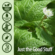 Close-up of green leaves with a flower, featuring certification logos for GMO-free, alcohol-free, gluten-free, cruelty-free, animal-friendly, and Parve, alongside the brand 'Just the Good Stuff'.