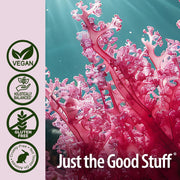 Nature's Answer Marine Magnesium Plant-Based Capsules - 90 Count