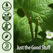 Nature’s Answer Goldenseal Root Extract – 4 mg Hydrastine, 10 mg Berberine, Alcohol-Free, 30 mL