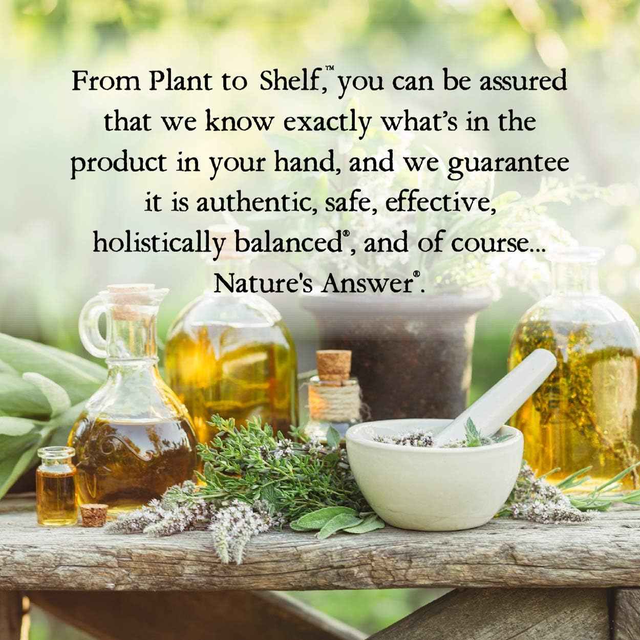 Nature’s Answer Kids Mullein Leaf Alcohol-Free Liquid Supplement 