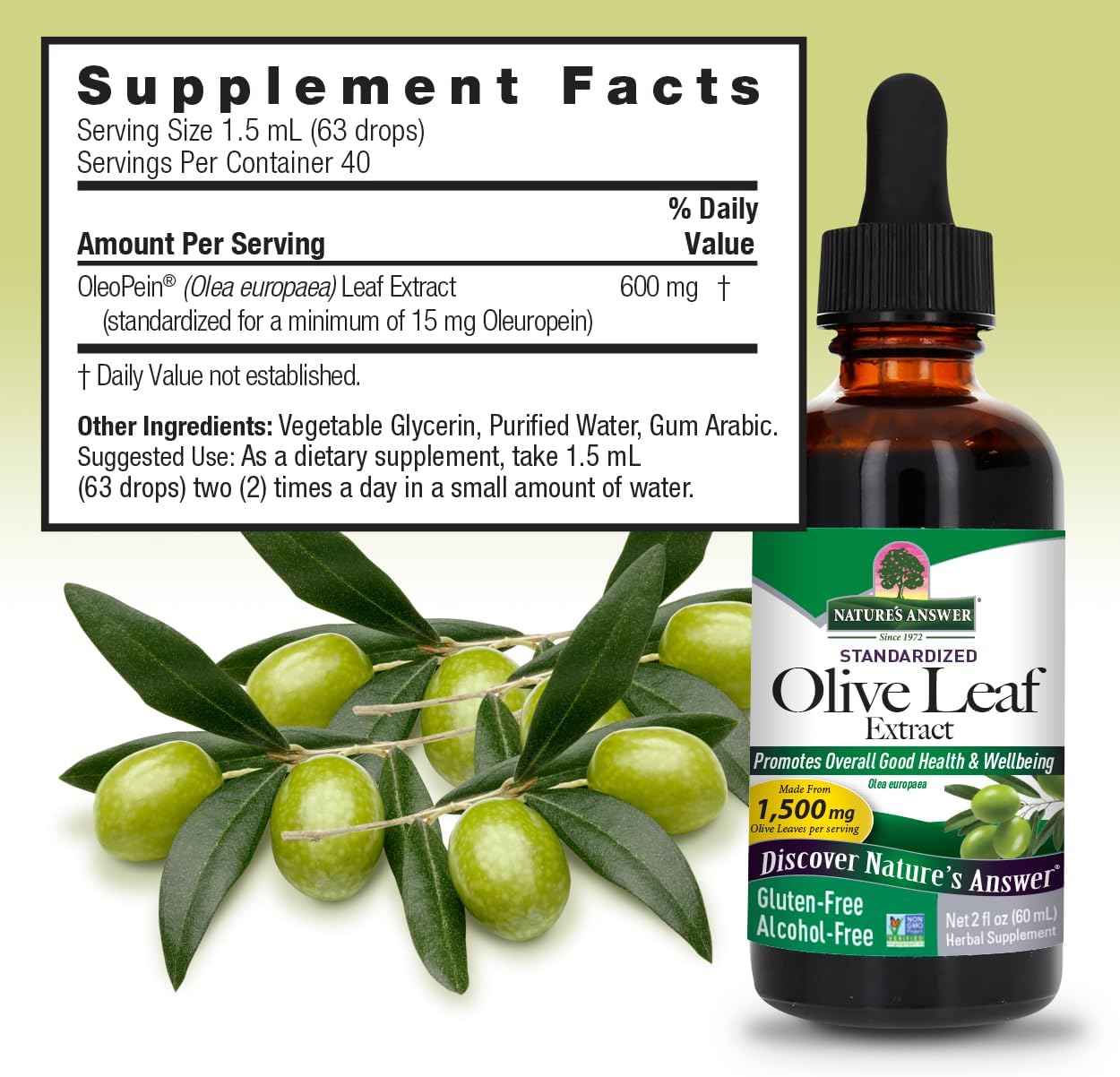 Olive leaf extract supplement bottle with label and olive branch on a light green background