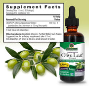 Olive leaf extract supplement bottle with label and olive branch on a light green background