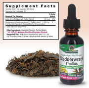 Bladderwrack supplement bottle with dried bladderwrack and supplement facts label.