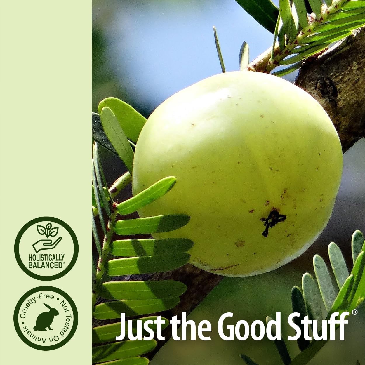 Green fruit on a branch with 'Just the Good Stuff' branding and holistic balance logo.