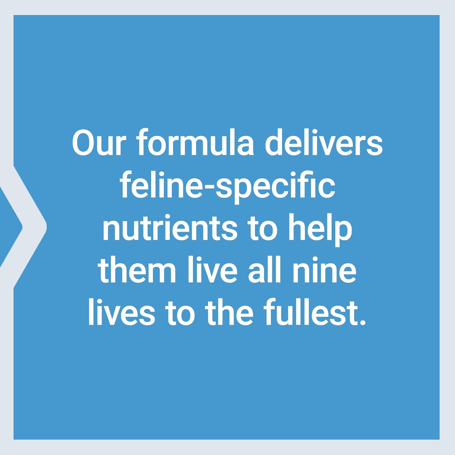 Life Extension Cat Food Topper - Probiotics, Vitamins & Taurine for Cats