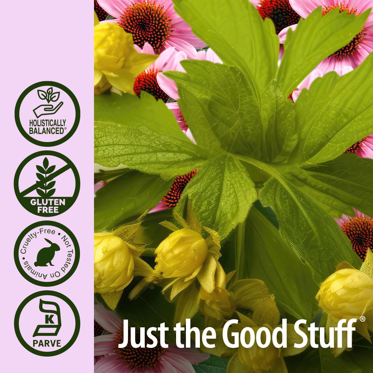 Nature’s Answer Echinacea & Goldenseal Root Herbal Extract – 60ml