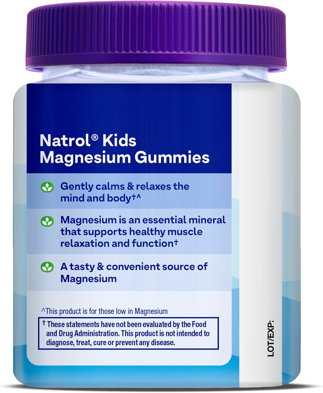 Natrol Kids Magnesium Citrate gummies supplement facts label bottle 30 gummies