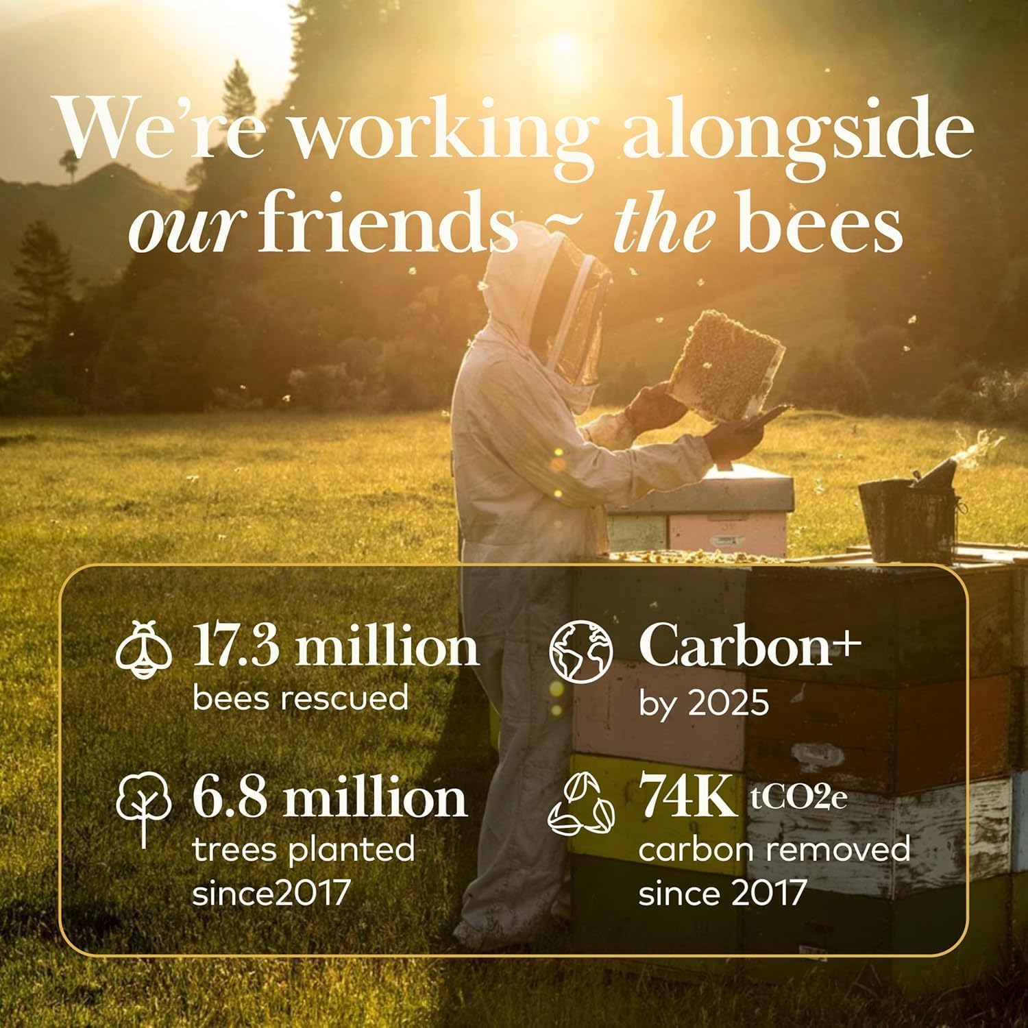 Comvita MGO 263+ UMF 10+ Manuka Honey 