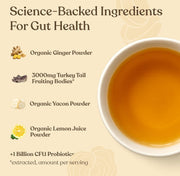 Four Sigmatic Gut Health Organic Herbal Tea – Ginger & Lemon (60.6g)