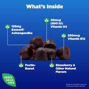 Natrol Ashwagandha Complete strawberry gummy supplement 