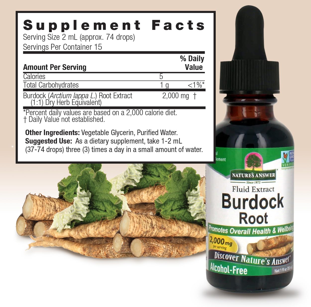 Bottle of Natures Answer Burdock Root supplement with label and ingredients listed.