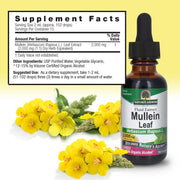 Bottle of Mullein Leaf extract with yellow flowers on a white background