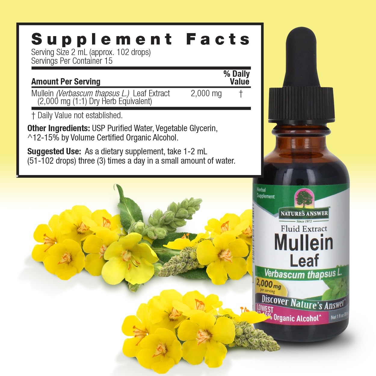 Bottle of Mullein Leaf extract with yellow flowers on a white background