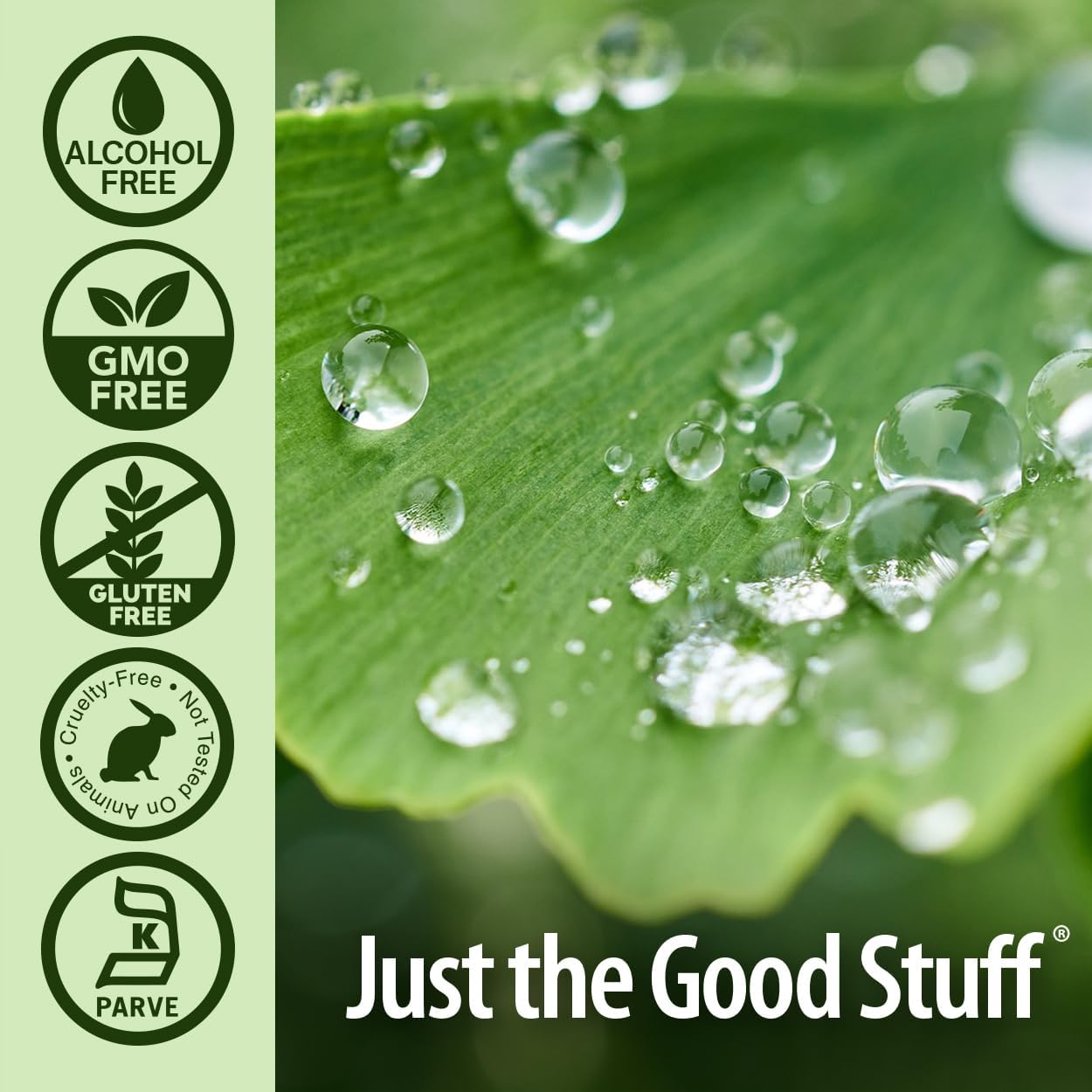 Nature's Answer Ginkgo Leaf Extract Alcohol-Free - 30ml