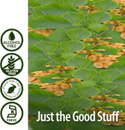 Green leaves with yellow seed pods and 'Just the Good Stuff' branding on a white background