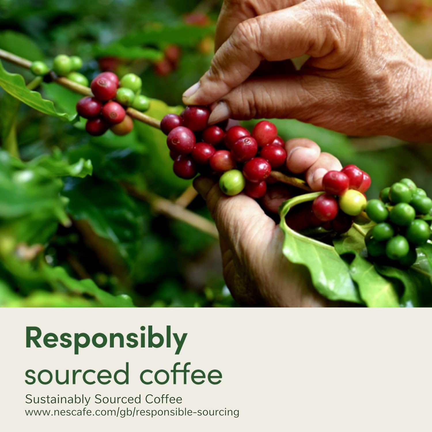 NESCAFÉ Dolce Gusto Americano Coffee Pods