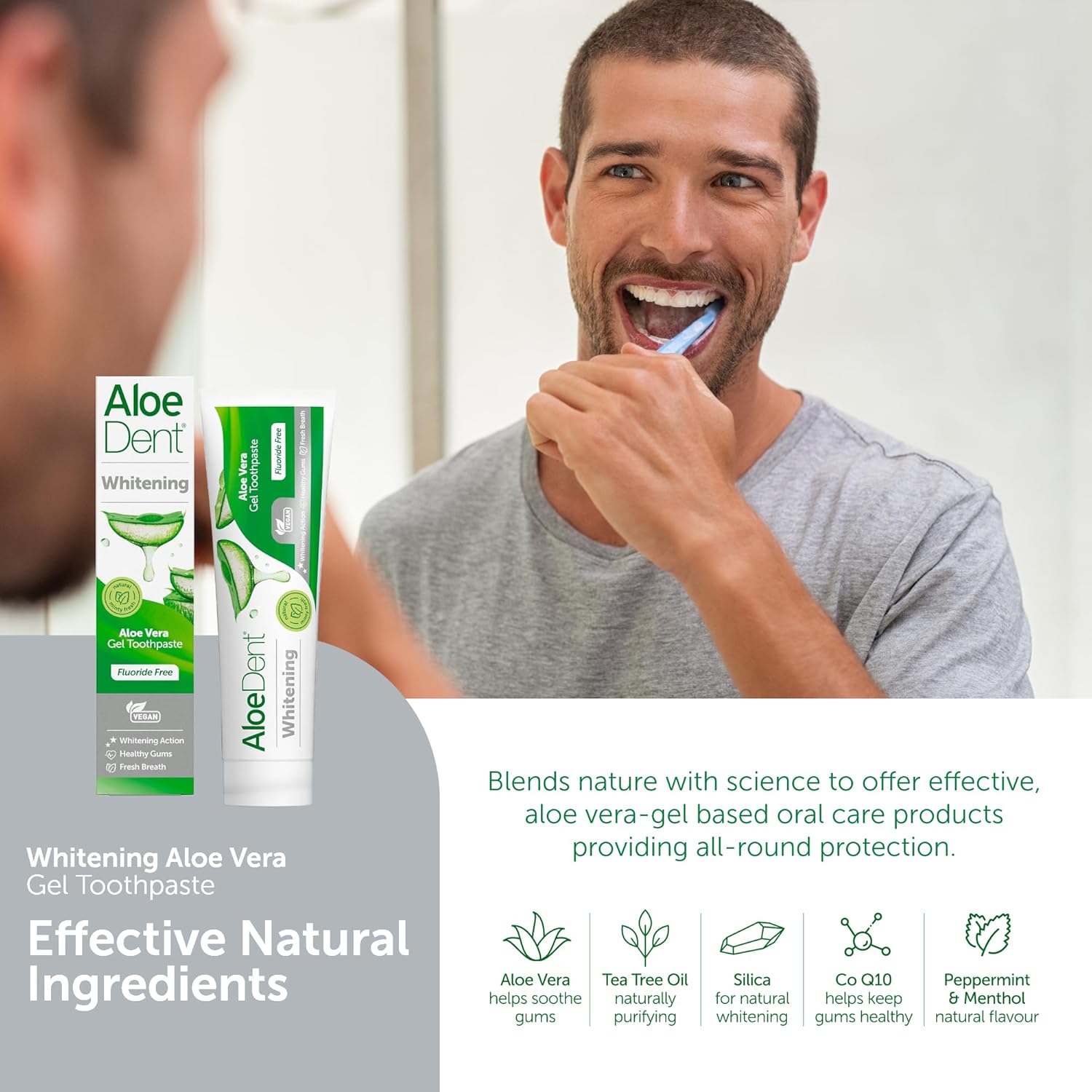 How to Use Image: Aloe Dent Aloe Vera toothpaste brushing teeth daily use 100ml
