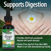 Nature’s Answer Ginger Root Extract – 1,000 mg, Alcohol-Free, 30 mL