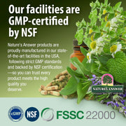 Nature’s Answer Echinacea & Goldenseal Alcohol-Free Herbal Extract 