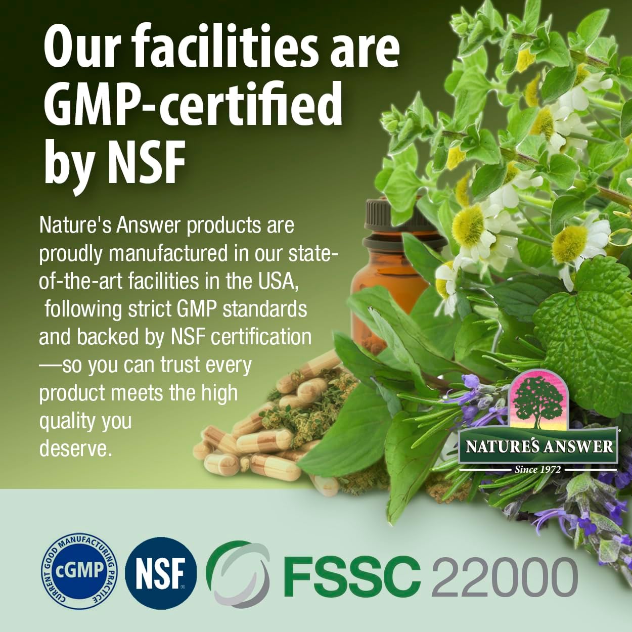 Nature’s Answer Chlorophyll Gummies Peppermint Flavour 