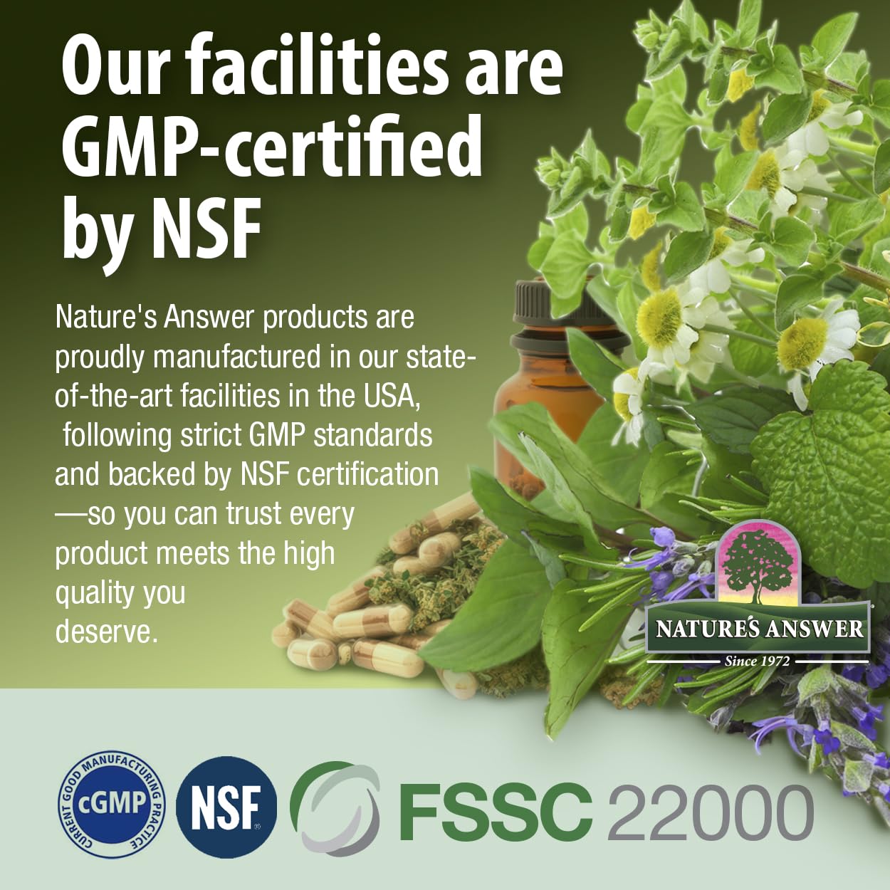 Advertisement for Natures Answer products with GMP certification by NSF, featuring a bottle and herbs on a green background.