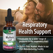 Nature’s Answer Mullein Leaf Fluid Extract, Organic Alcohol – 2,000mg – 30mL