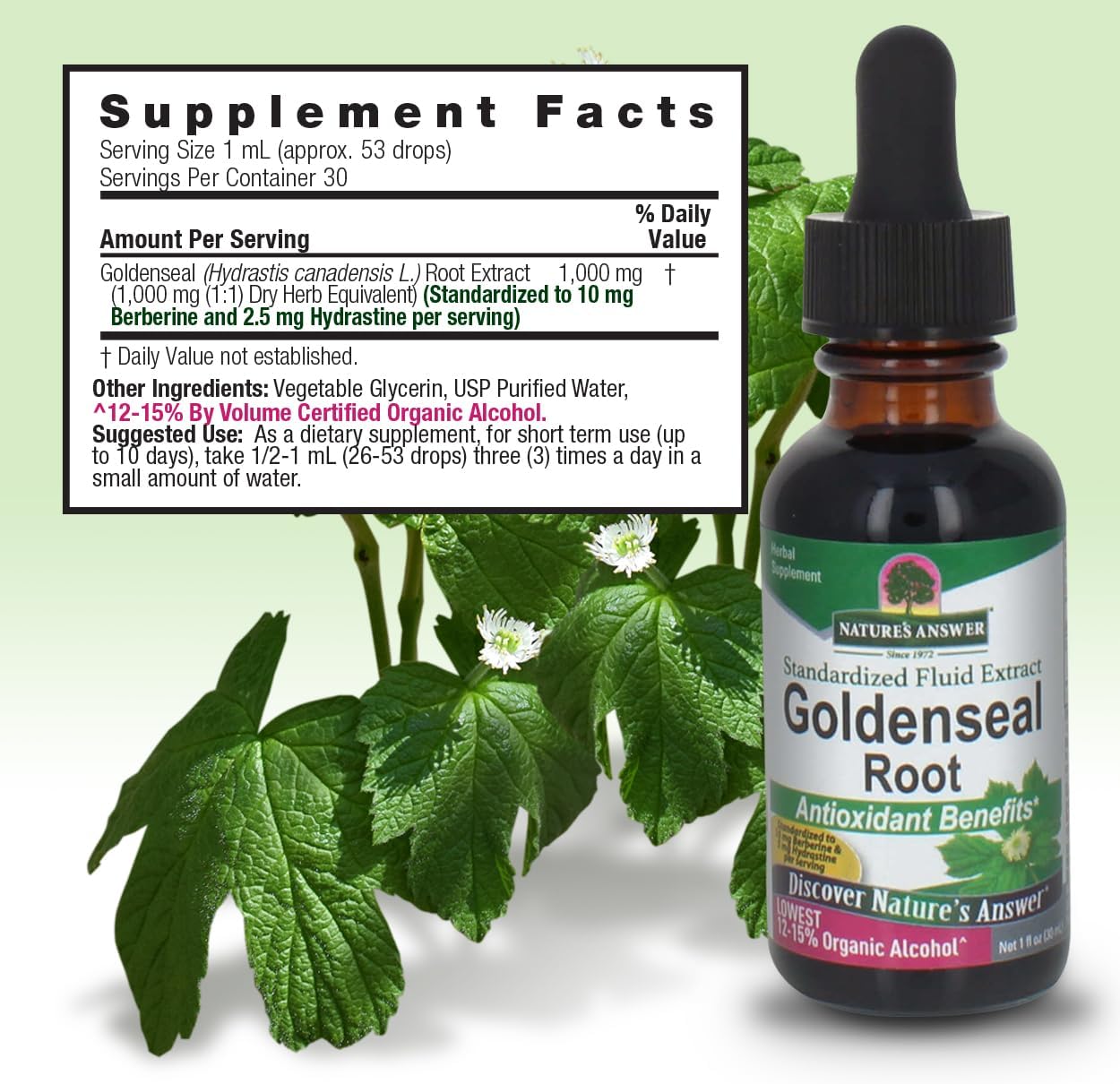 Bottle of Natures Answer Goldenseal Root supplement with label and green leaves in the background