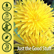 Nature’s Answer Liver Support 2,000 mg — Alcohol-Free Herbal Blend 30 ml