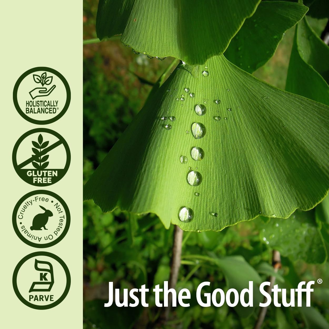 Green leaf with water droplets and 'Just the Good Stuff' branding on a natural background