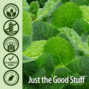 Nature’s Answer PerioRub Topical Gel for Teeth & Gums - 14.2g