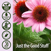 Nature’s Answer Echinacea and Goldenseal Herbal Liquid Supplement 30ml