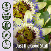 Passion flower with 'Just the Good Stuff' branding and certification logos on a purple background