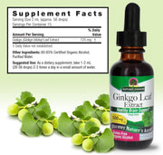 Bottle of Ginkgo Leaf Extract with supplement facts on a light green background