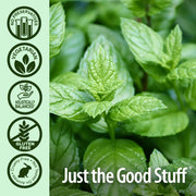 Mint leaves with certification icons and 'Just the Good Stuff' text on a green background