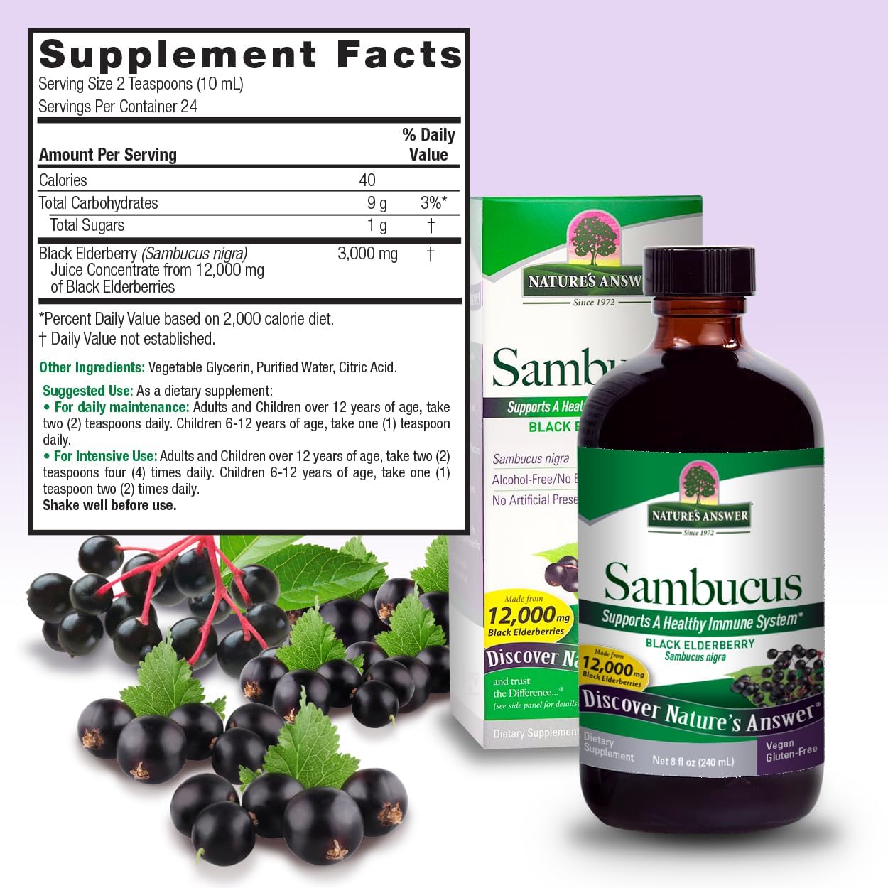 Natures Answer Sambucus supplement bottle with packaging and black elderberries on a white background