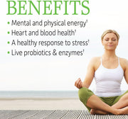 Garden of Life Raw B Complex Vitamin - Vegan Capsules with Probiotics