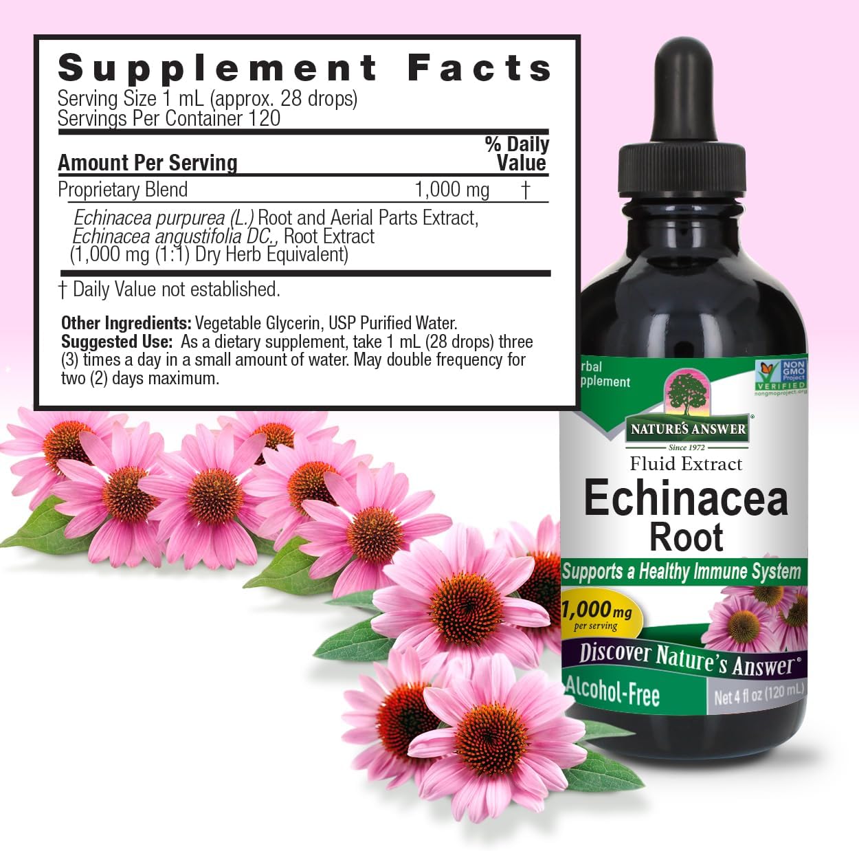 Echinacea root supplement bottle with flowers and supplement facts label on a pink background