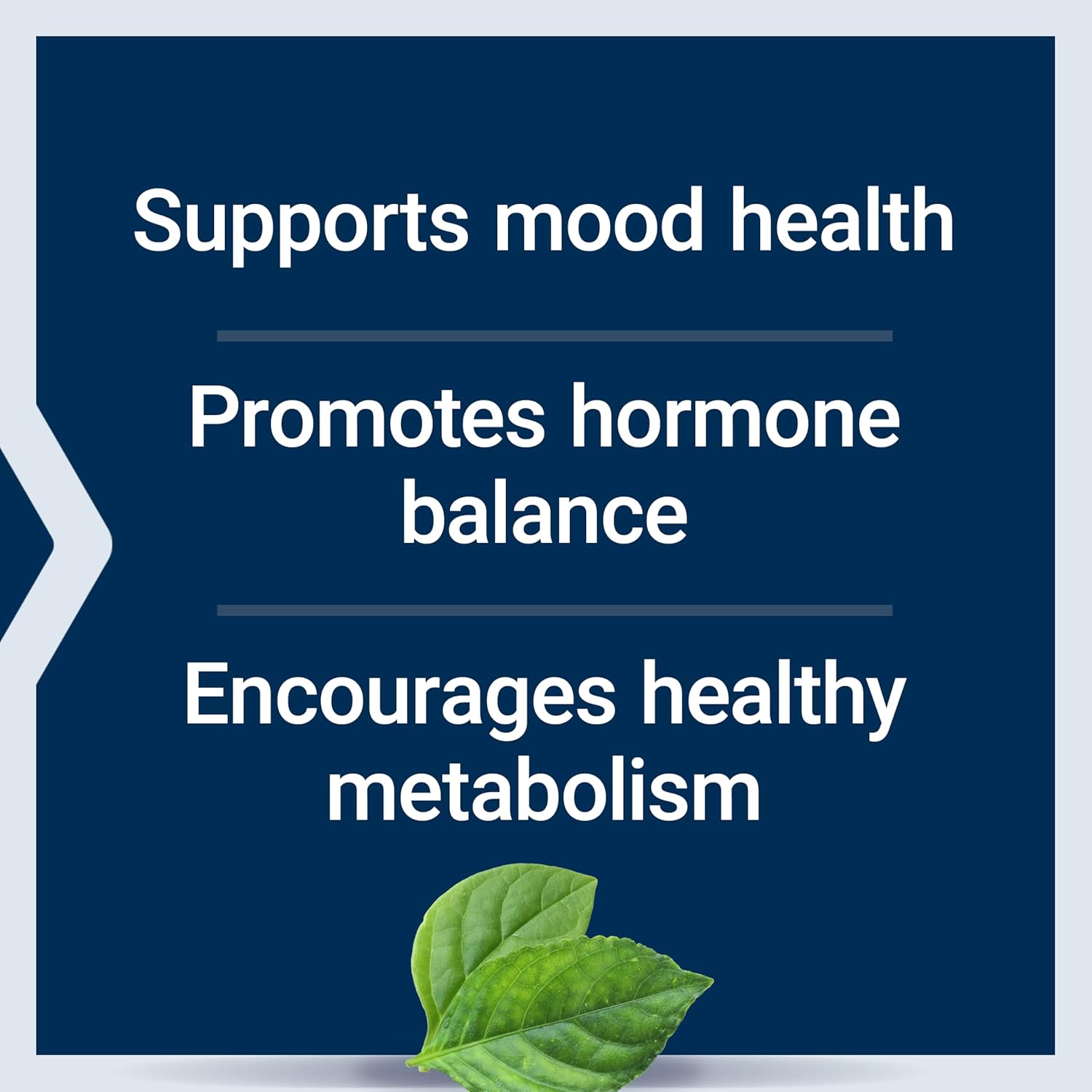 Life Extension Inositol Caps - 1000 mg Myo-Inositol Per Serving - 360 Veg Caps