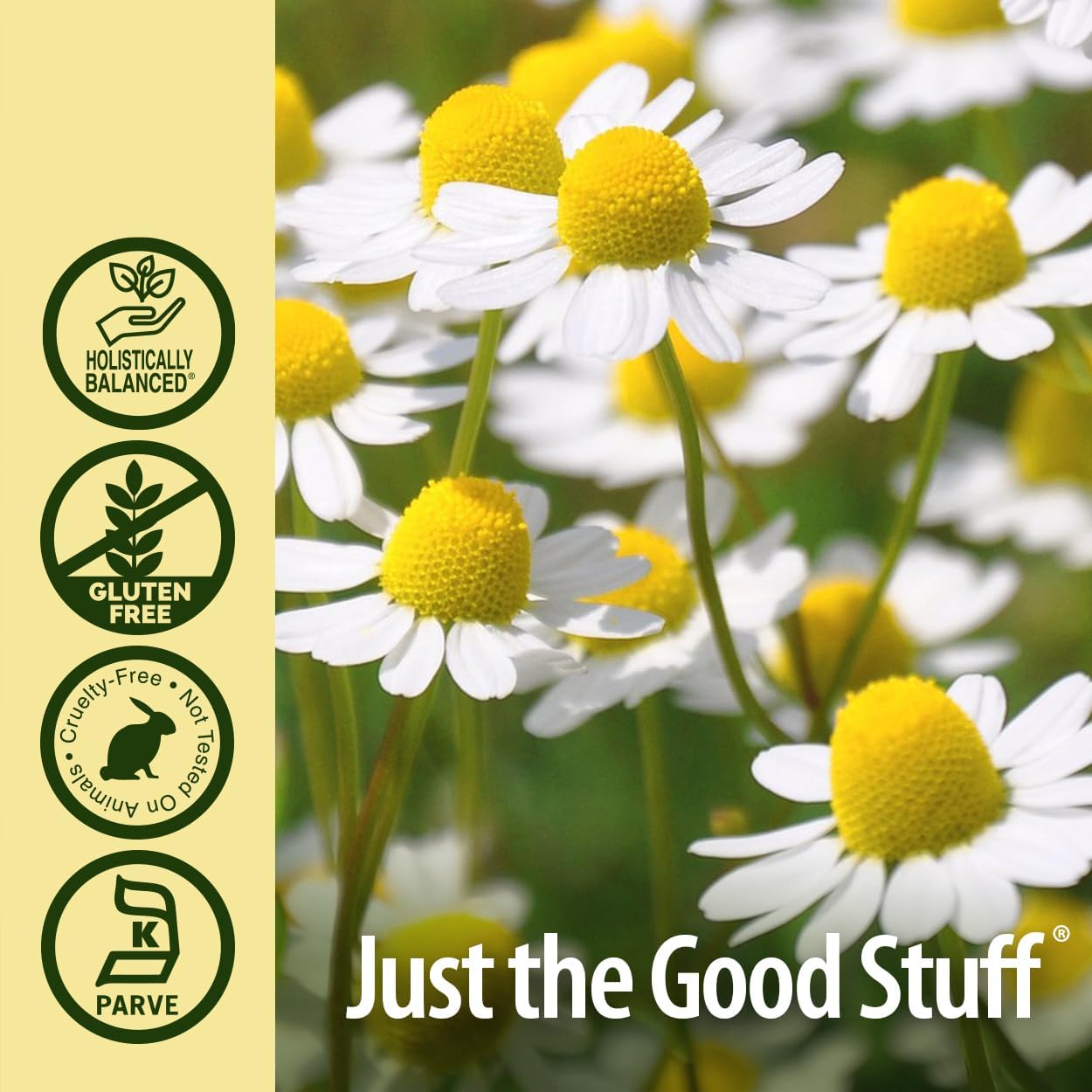 Nature’s Answer Chamomile Herbal Extract 2,400 mg — 30 ml